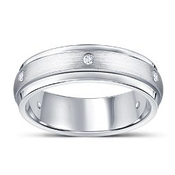 Platinum Satin Finish Men's Diamond Wedding Band (1/6 cttw.)